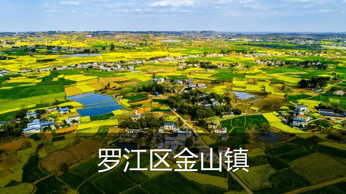罗江区金山镇